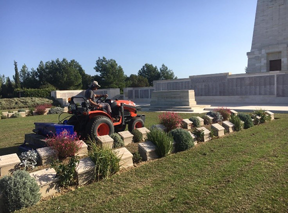 What are our gardeners doing this month? - November 2020