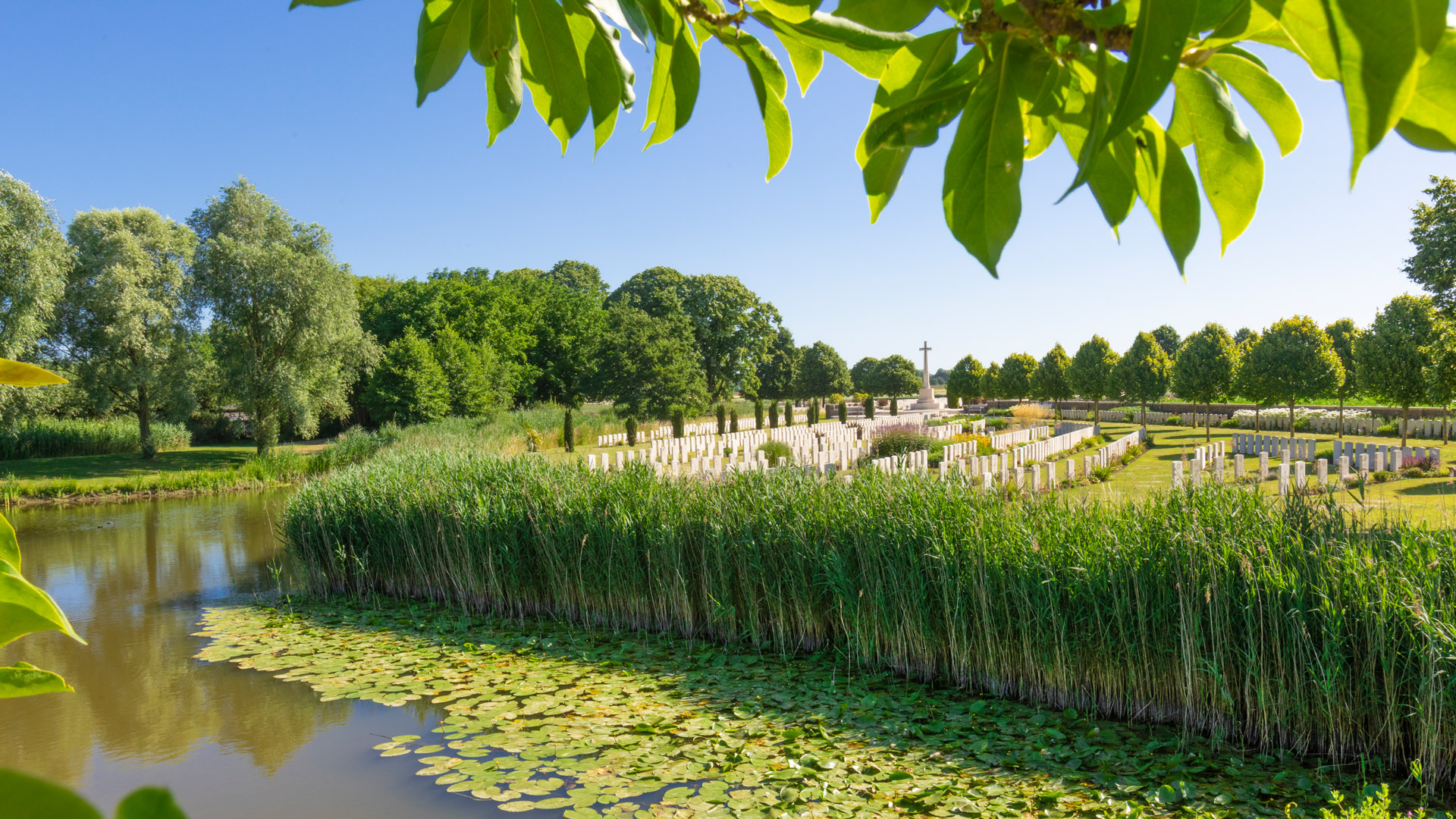 Burial services in November 2023