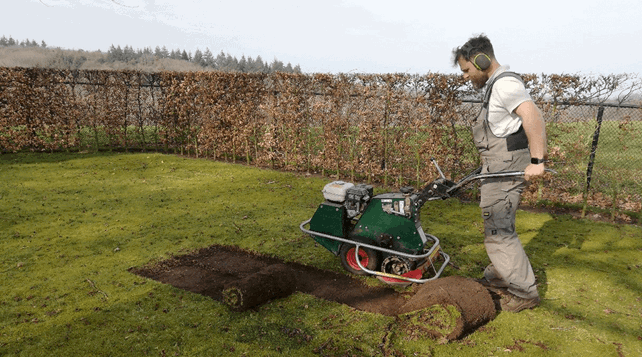 Seed bed prep