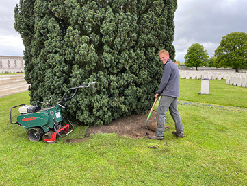 Work on the Yew Trees at Tyne Cot