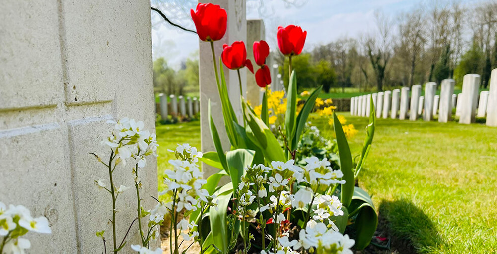 Flowers in cemetery