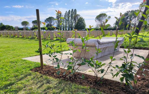 Horticulture at Cassino war cemetery